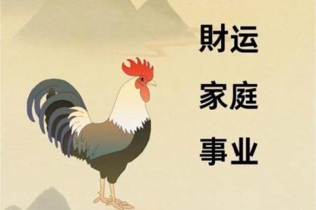 晚上11点出生的属鸡男孩宜用什么字取名字合适姓名