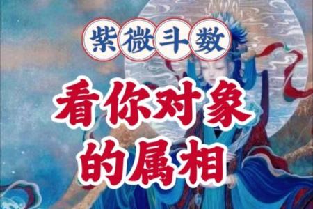紫薇斗数另一半属相