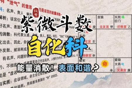 南辰紫薇斗数