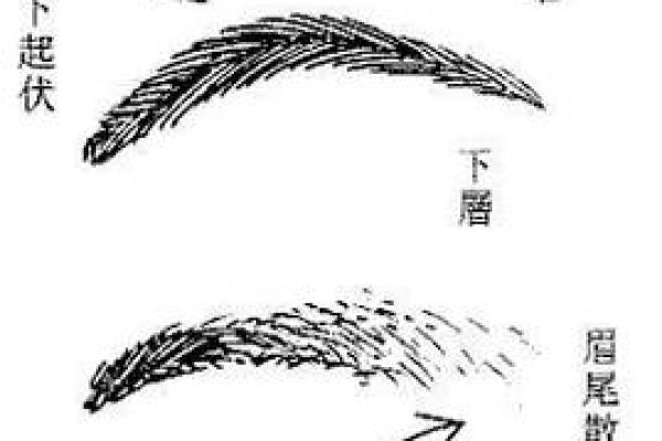 全面解析：胎记算命图解