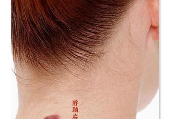 全面解析：胎记算命图解