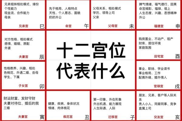 紫薇斗数看两人怎么认识的