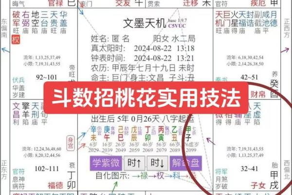 紫薇斗数看旺夫