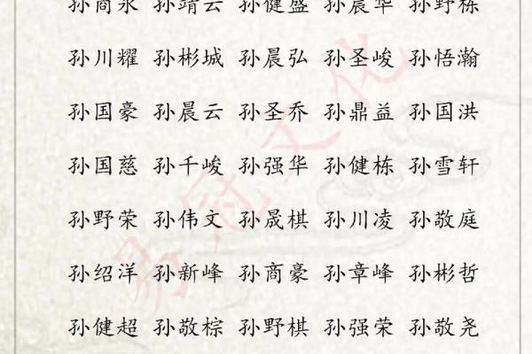 2019年3月20号巳时出生的男孩起名方法姓名