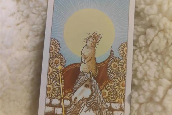 塔罗测试：你对婚后的生活状态满意吗？