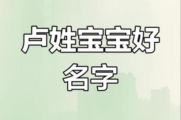 卢姓女孩名字大全-卢姓女孩起名字大全-卢姓名字大全姓名