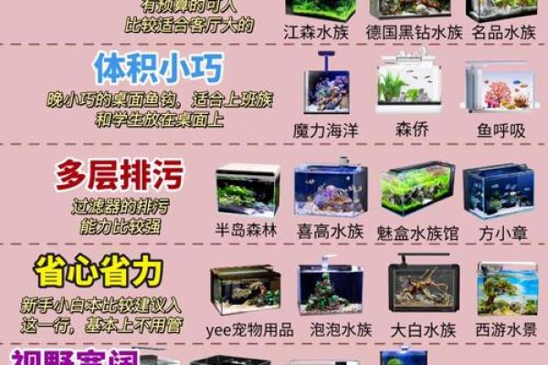鱼缸的风水妙用