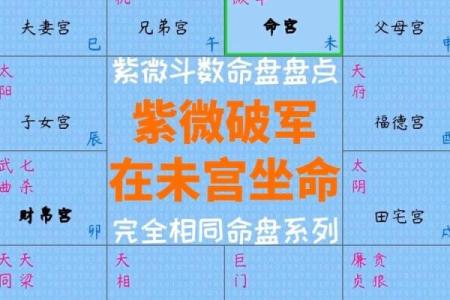 紫薇斗数求解盘