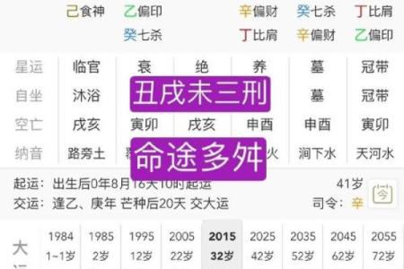 马未都说生辰八字算命吗