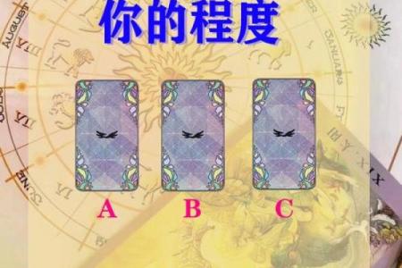 塔罗测试你该如何追求心仪的对象？