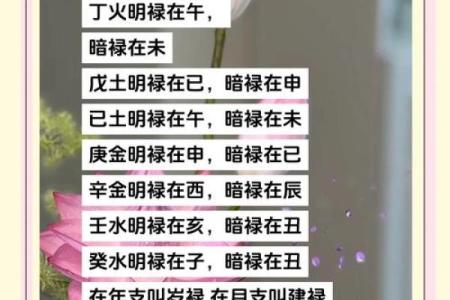 算命里衣禄是什么意思