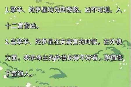紫薇斗数看你的学历