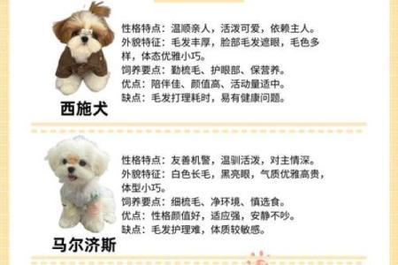 属狗女生好听的小名有哪些？女孩洋气的小名汇总姓名