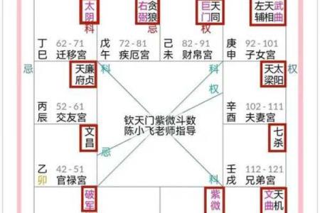 紫微斗数之疾厄宫与诸星，太阳星在疾病宫是什么意思？