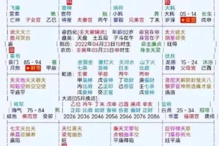 紫微斗数排盘天梁星化权是什么意思？