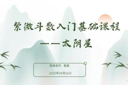紫薇斗数音频教学