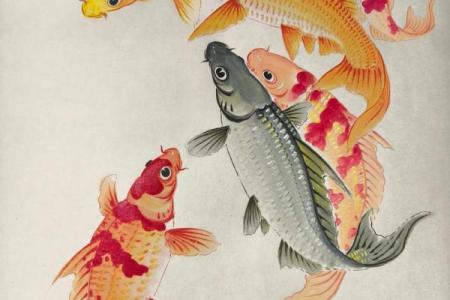 风水角度鱼从鱼缸里跳出来有什么寓意预兆