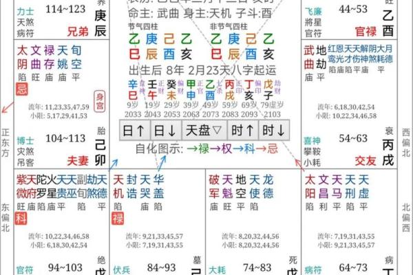 紫薇斗数怎么起运