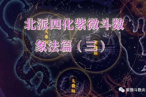 紫薇斗数象意