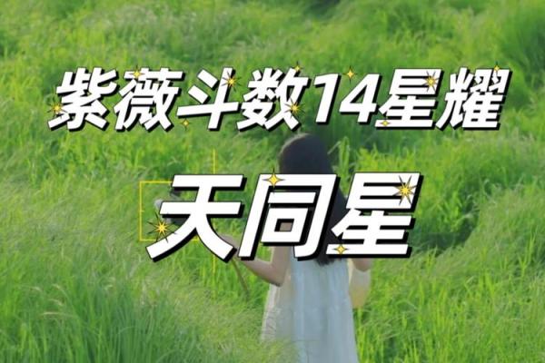紫微斗数如何定天同星