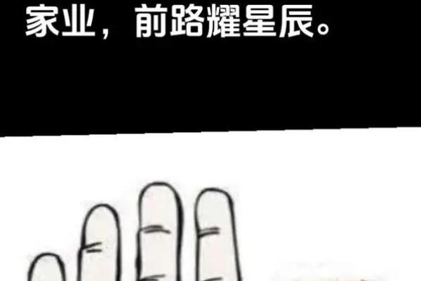 看手纹测命运图解 手相学图解算命大全