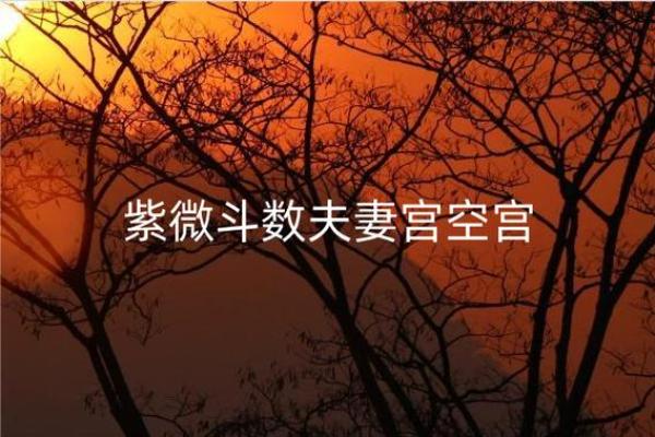 紫薇斗数推算结婚