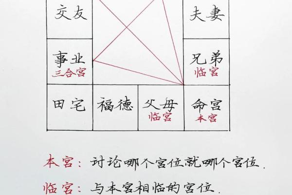 紫微斗数体系框架（零基础入门）