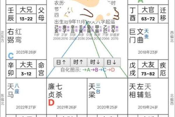 紫薇斗数小流连