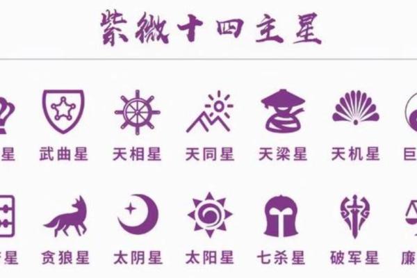 紫微斗数任务在哪接 紫微斗数引导任务？
