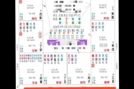 人的生辰八字能显示出什么