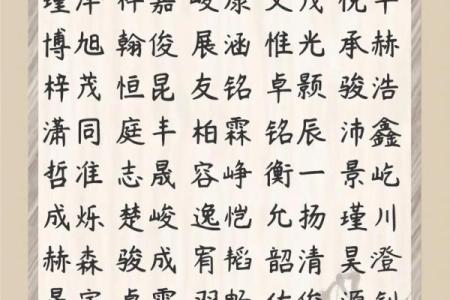 2019年5月19号卯时出生的男孩起名时要注意什么姓名