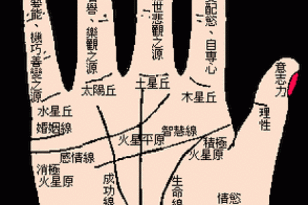 看手纹测命运图解 手相学图解算命大全
