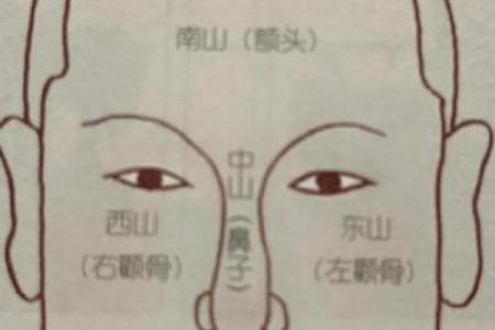 算命中鼻头大好吗
