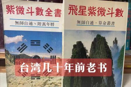 陈彦廷紫薇斗数书