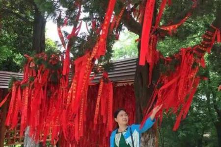 诸葛灵签80签