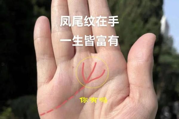掌纹算命可靠