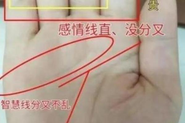 生辰八字测有几个子女 子女线能看出与孩子的关系