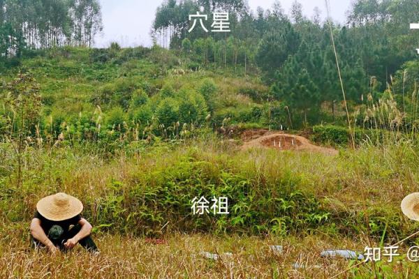 祖坟的风水_是一个家庭更好的风水你认同这句话吗