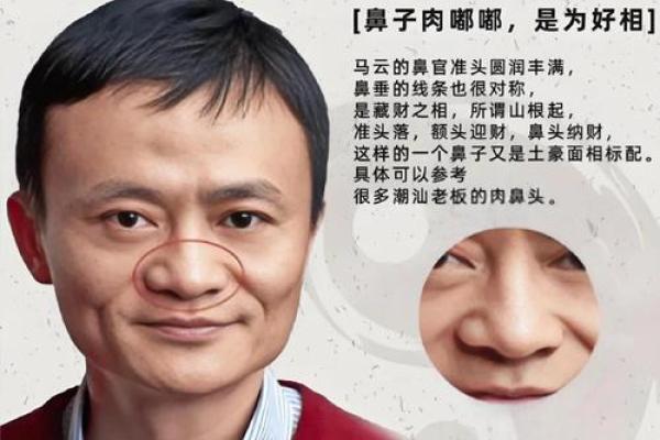 马云的紫薇斗数