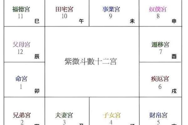 紫薇斗数地盘时辰