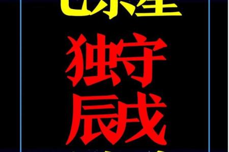 紫薇斗数财阜宫
