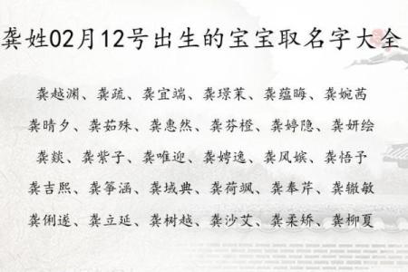 龚姓女孩名字大全-龚姓女孩起名字大全-龚姓名字大全姓名