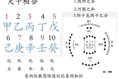 八字过硬属于什么意思呢