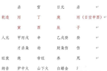 丙子日八字
