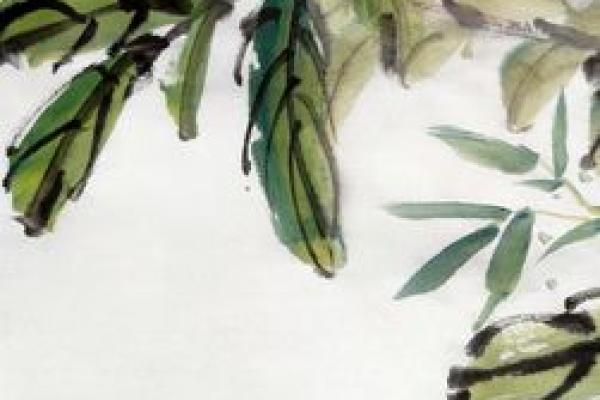紫薇斗数水墨