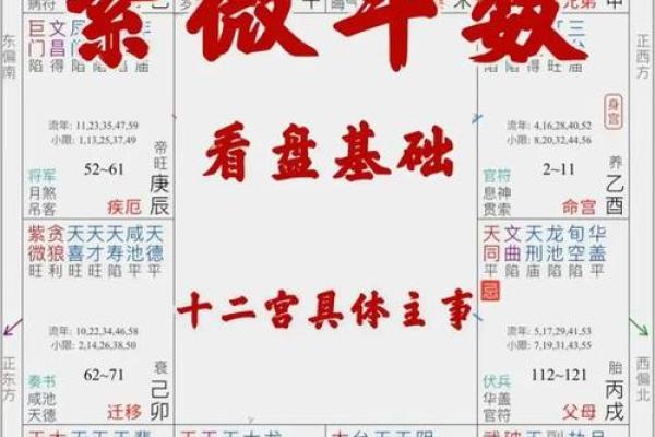 紫微斗数看会拥有美好婚姻的人