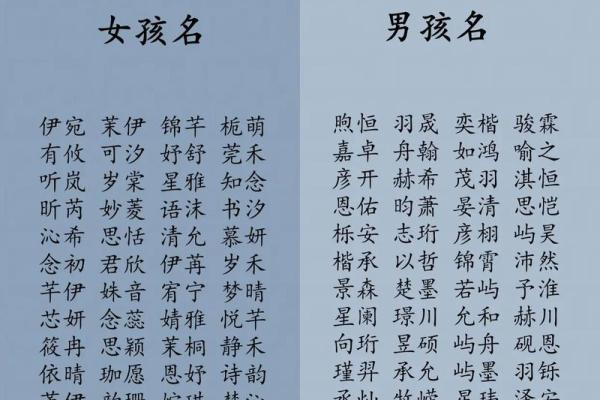 2019年6月11号子时出生的男孩如何起名姓名