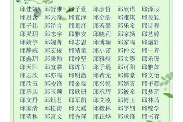 2019年6月11号子时出生的男孩如何起名姓名