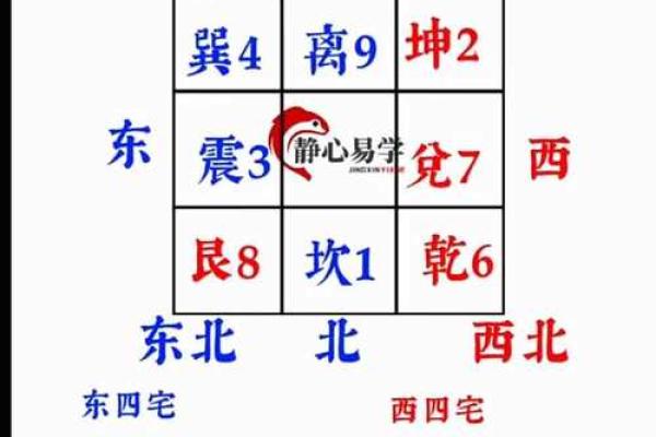 窗户的单数双数风水