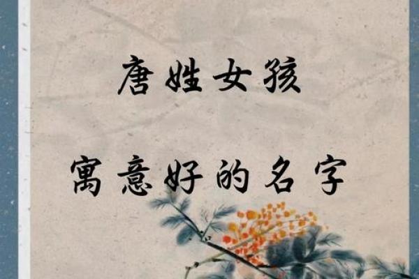 姓唐按生辰八字来起名